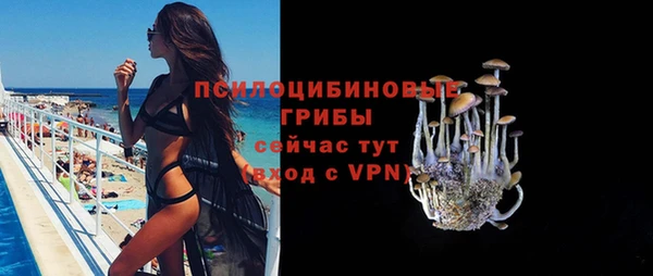 мдма Богородск