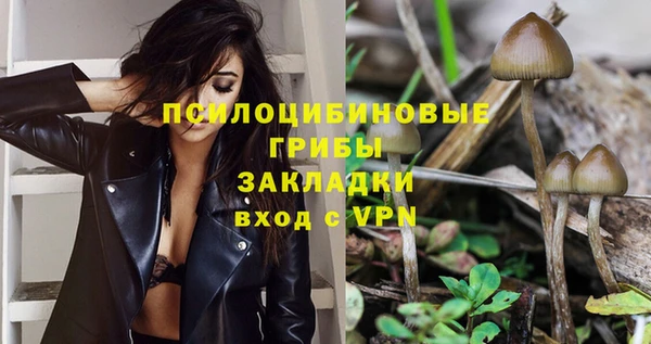 марки nbome Богданович