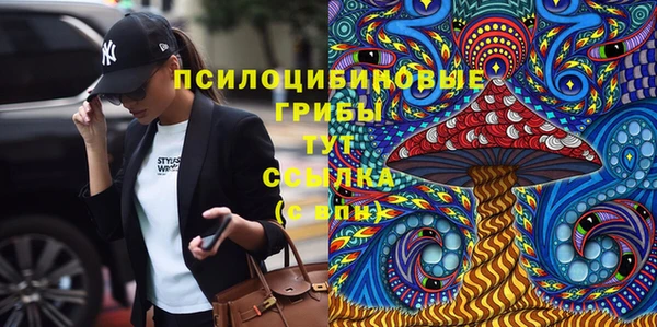 марки nbome Богданович