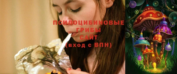 твердый Богородицк
